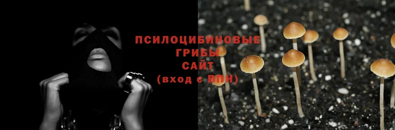 даркнет формула  Коммунар  Галлюциногенные грибы Psilocybine cubensis 